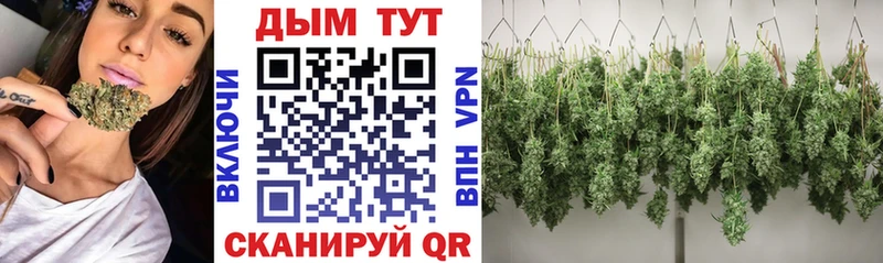 Конопля Будённовск